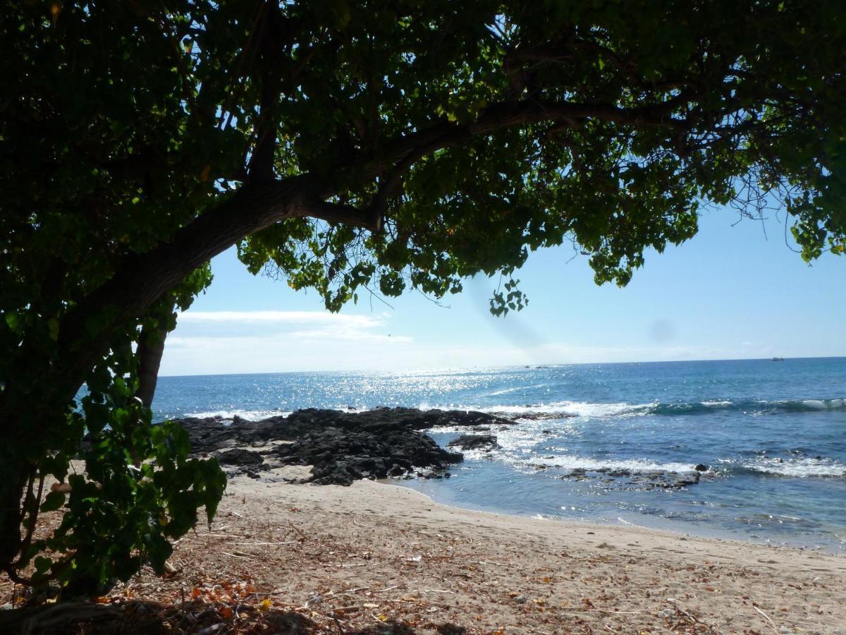 Downtown Hawaiian Paradise Condo With Hot Tub, Pool & Beach - Kona Islander Inn カイルア・コナ エクステリア 写真